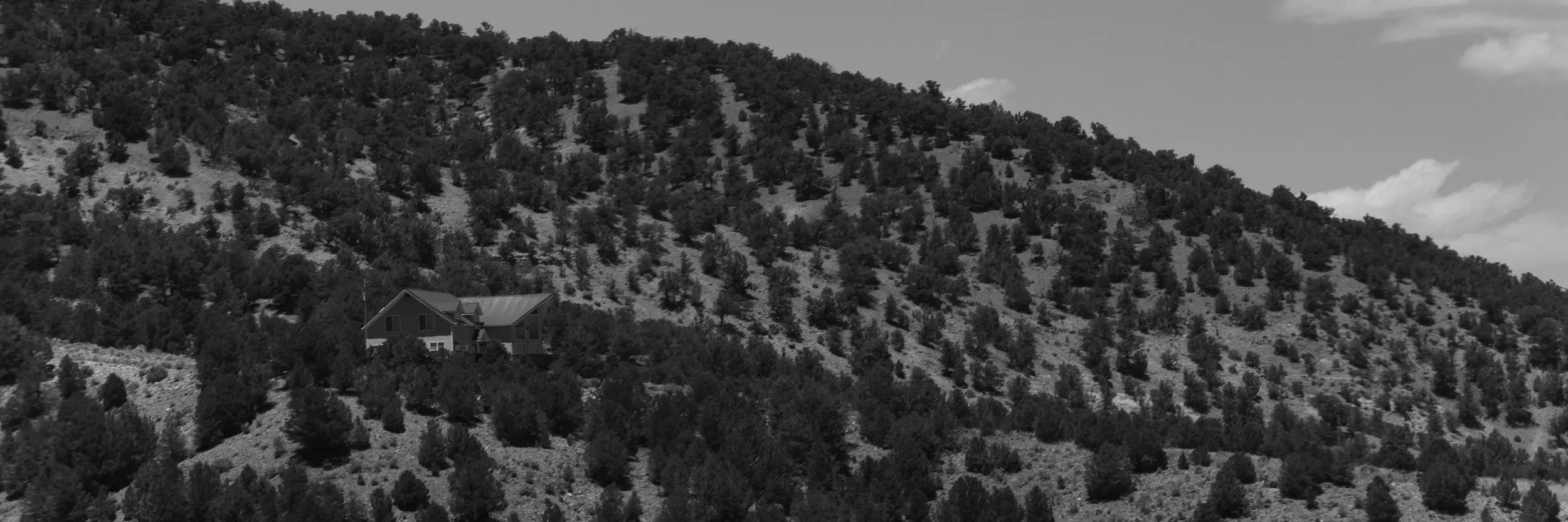 A lone house on a hill dotted with trees. Black and white.
