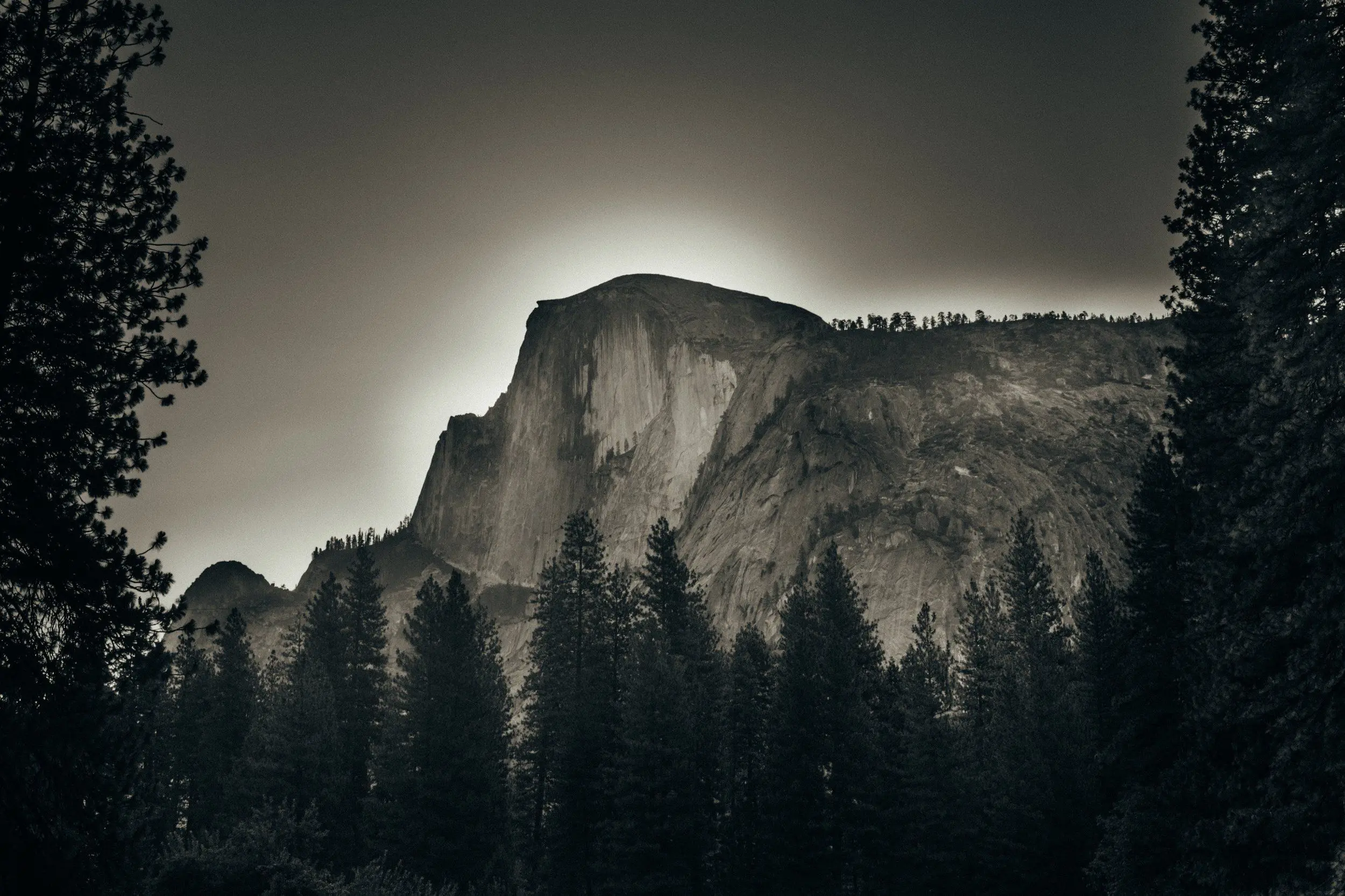 A monochromatic early-morning Half Dome bordered by the forest.