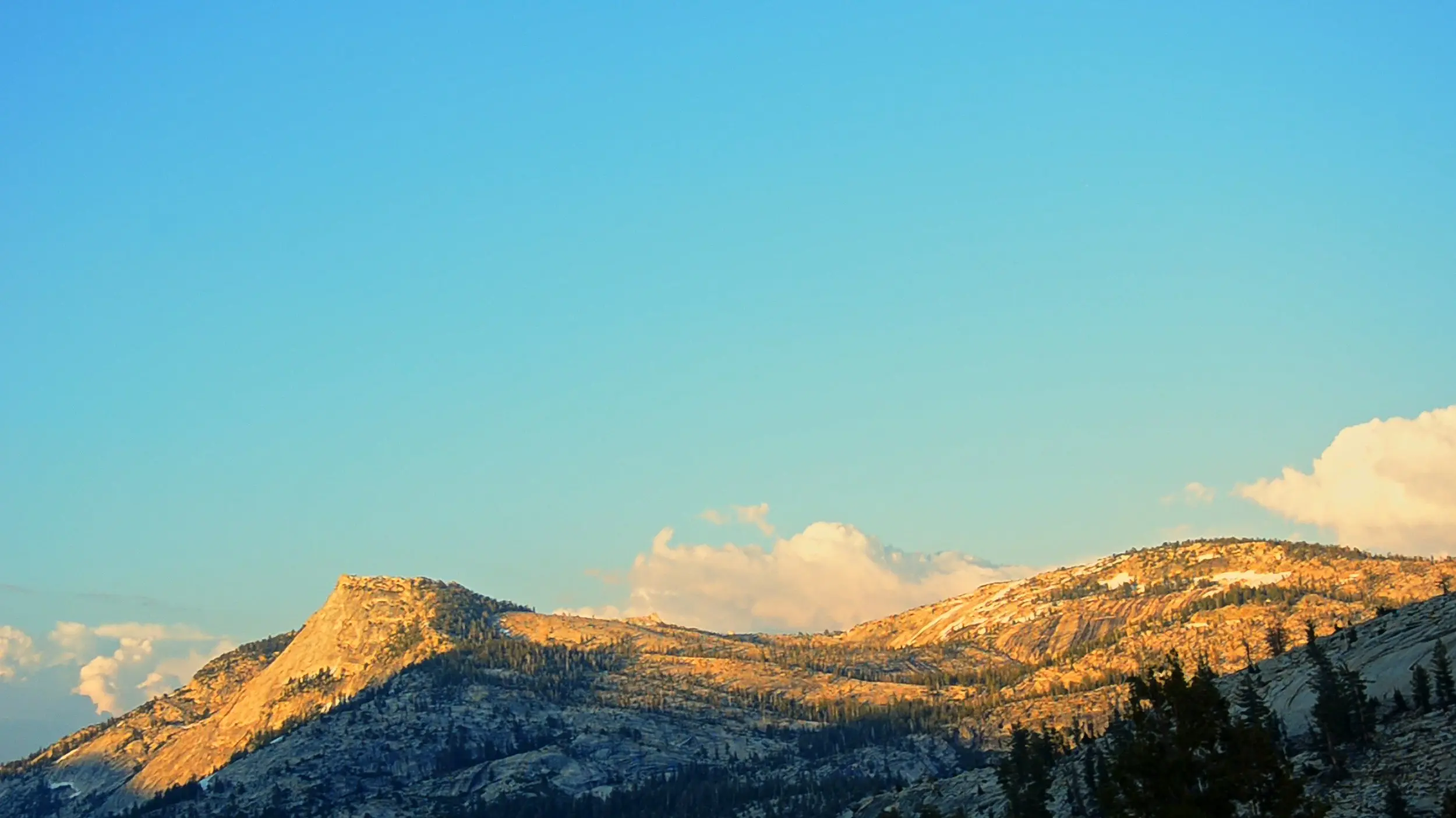 Golden hills under clear blue skies during sunset at Yosemite National Park.