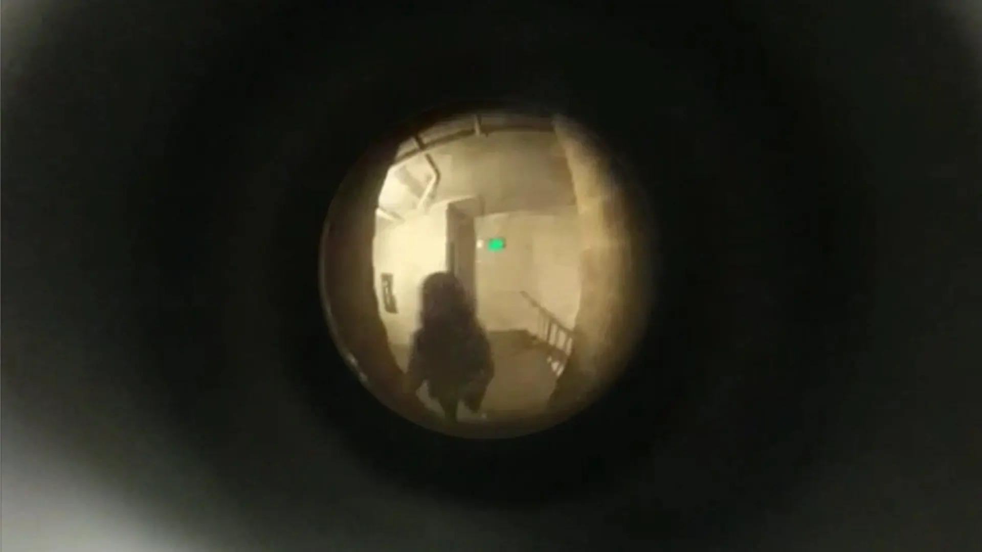 A look through a peephole at a shadowed figure in a stairwell.
