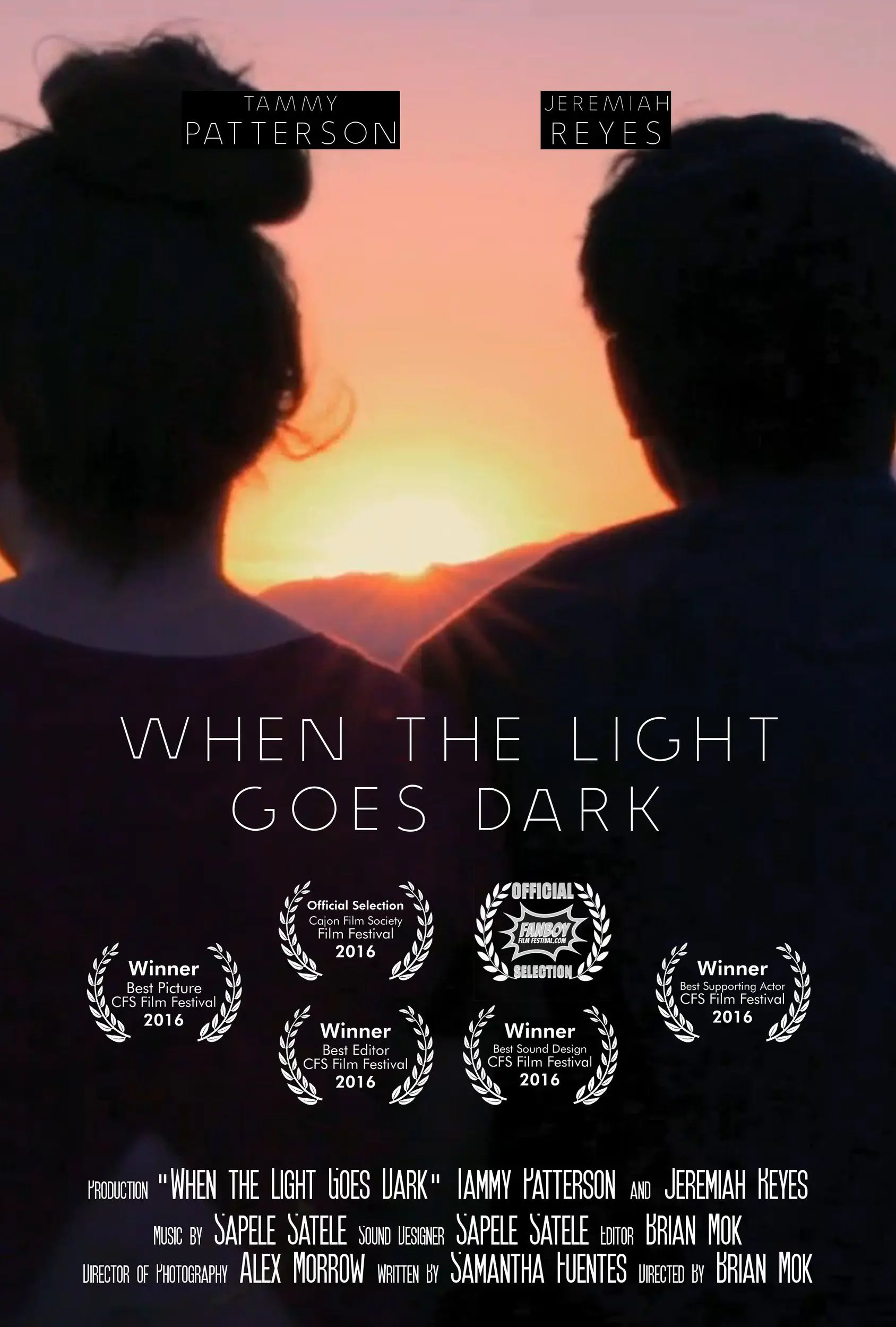 "When the Light Goes Dark" film poster. A couple sits together, backs to us, looking towards the setting sun.