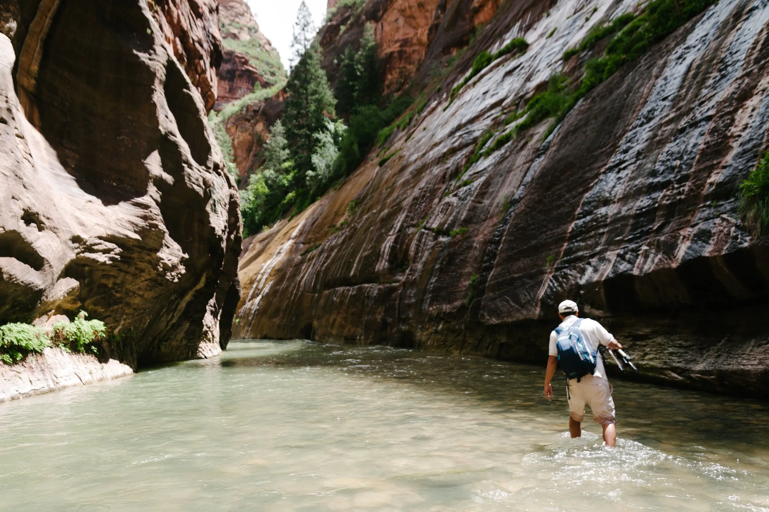 A man with a blue backpack hand-carrying a tripod wades through waters of the Zion Narrows bordered by wet cliffs.