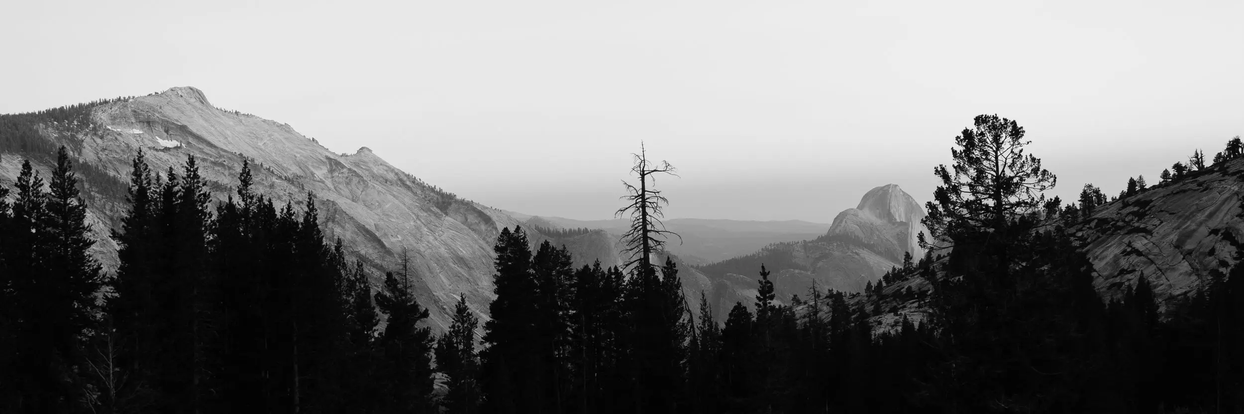 Black and white wide shot at sunset including Half Dome in the distance with dark trees in the foreground.